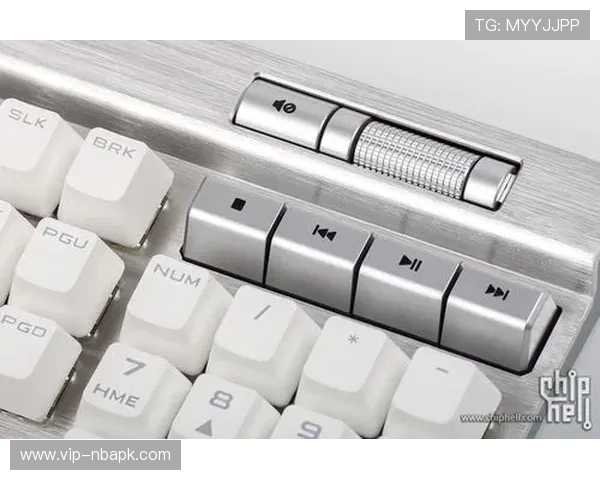 mk体育官网入口最新版本上线，优化用户体验提升登录速度