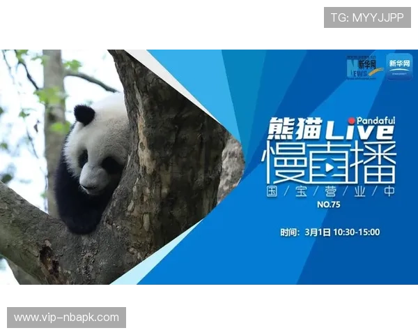 熊猫直播APP下载安装教程及使用过程中常见问题解决方案