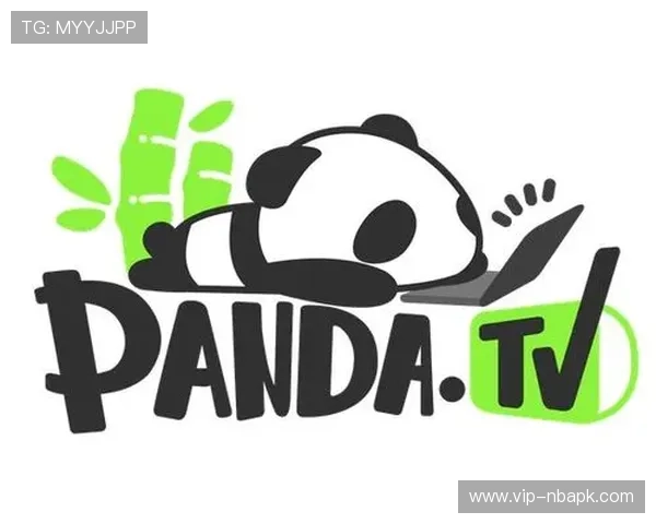 熊猫体育直播平台的安全保障措施与用户隐私保护策略详解